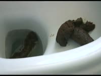 Poop Fetish Movie - taking a poop in close-up